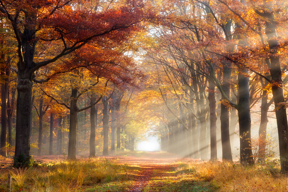 Ontspanning in 2025? 